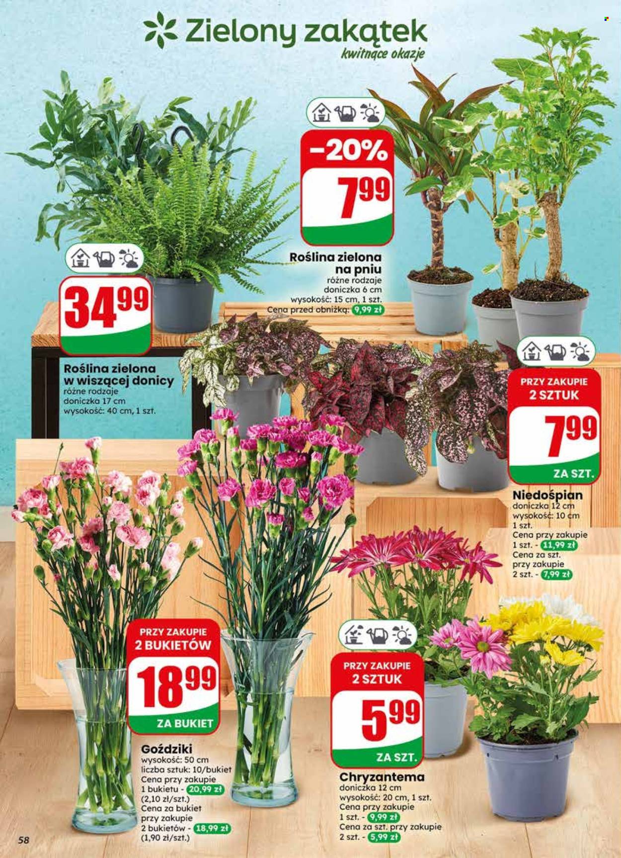 Gazetka Dino - 3.06.2026 - 9.06.2026. Strona 58