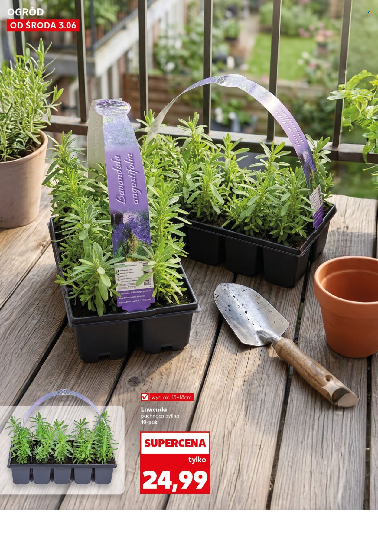 Leták Kaufland - 3.6.2026 - 10.6.2026. Strana 10