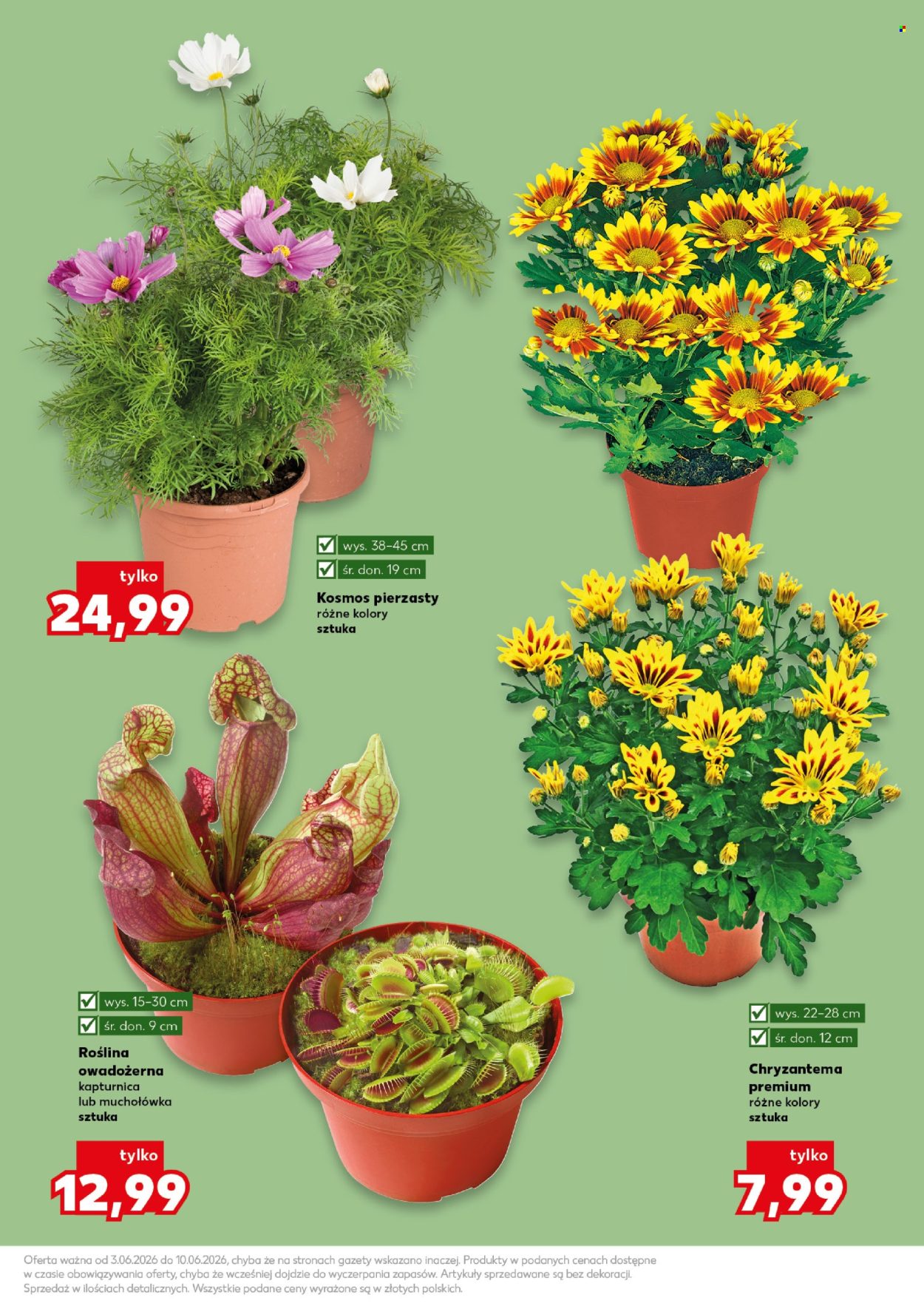 Gazetka Kaufland - 3.06.2026 - 10.06.2026. Strona 11