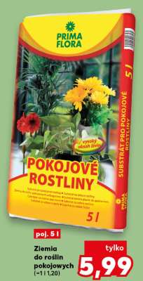 Ziemia do roślin pokojowych