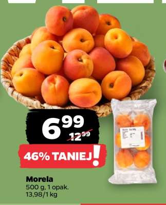 Morela