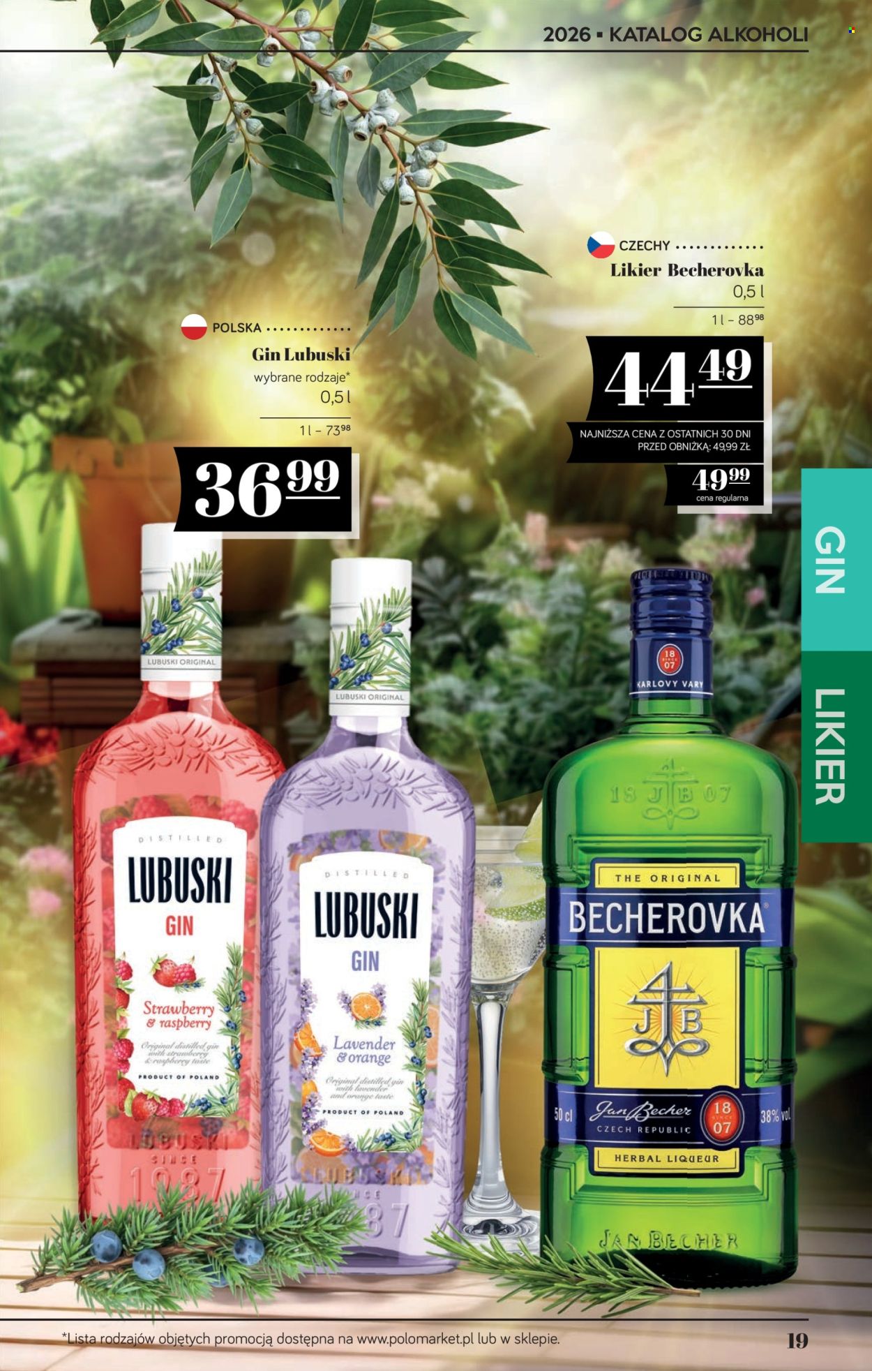 Gazetka Polomarket - 5.06.2026 - 17.06.2026. Strona 19