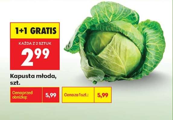 Kapusta młoda szt