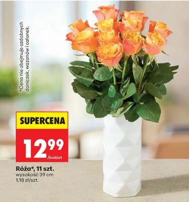 Róża 11 szt