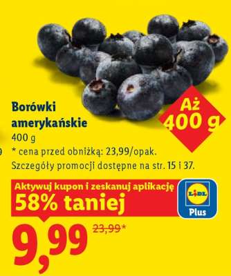 Borówki amerykańskie