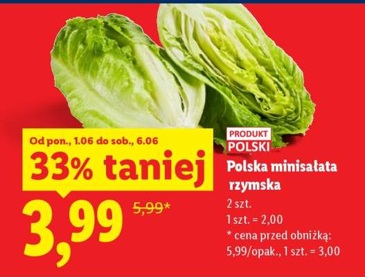 Polska minisałata rzymska