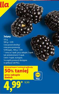 Jeżyny