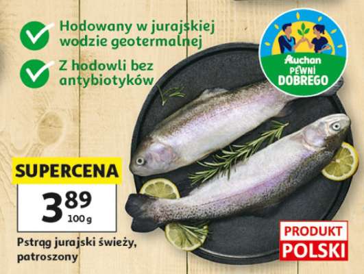 Pstrąg jurajski świeży, patroszony