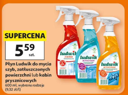 Płyn Ludwik do mycia szyb, zatłuszczonych powierzchni lub kabin prysznicowych