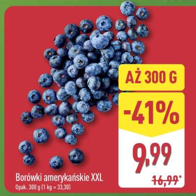 Borówki amerykańskie XXL
