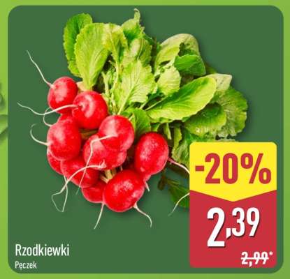 rzodkiewki