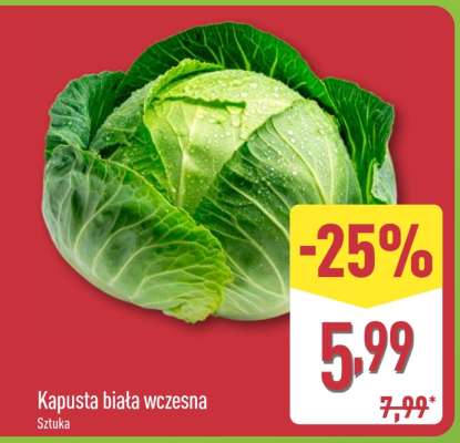 Kapusta biała wczesna