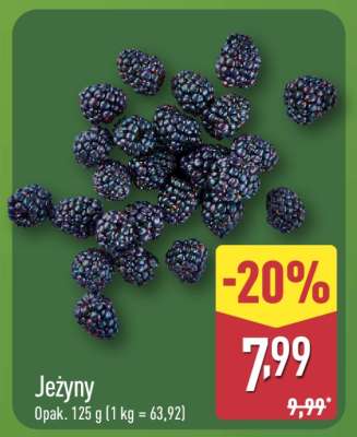 Jeżyny