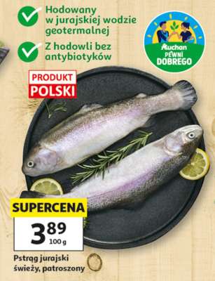 Pstrąg jurajski świeży, patroszony