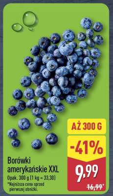 Borówki amerykańskie XXL