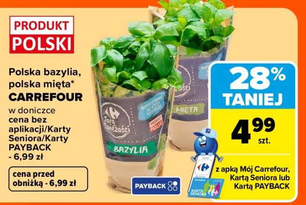 Polska bazylia, polska mięta CARREFOUR