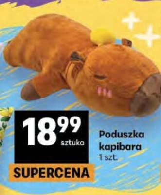 Poduszka kapibara