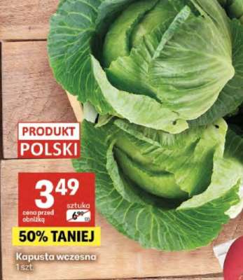 Kapusta wczesna