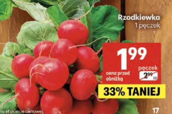 Rzodkiewka