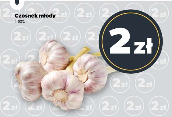 Czosnek młody