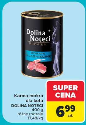 Dolina Noteci