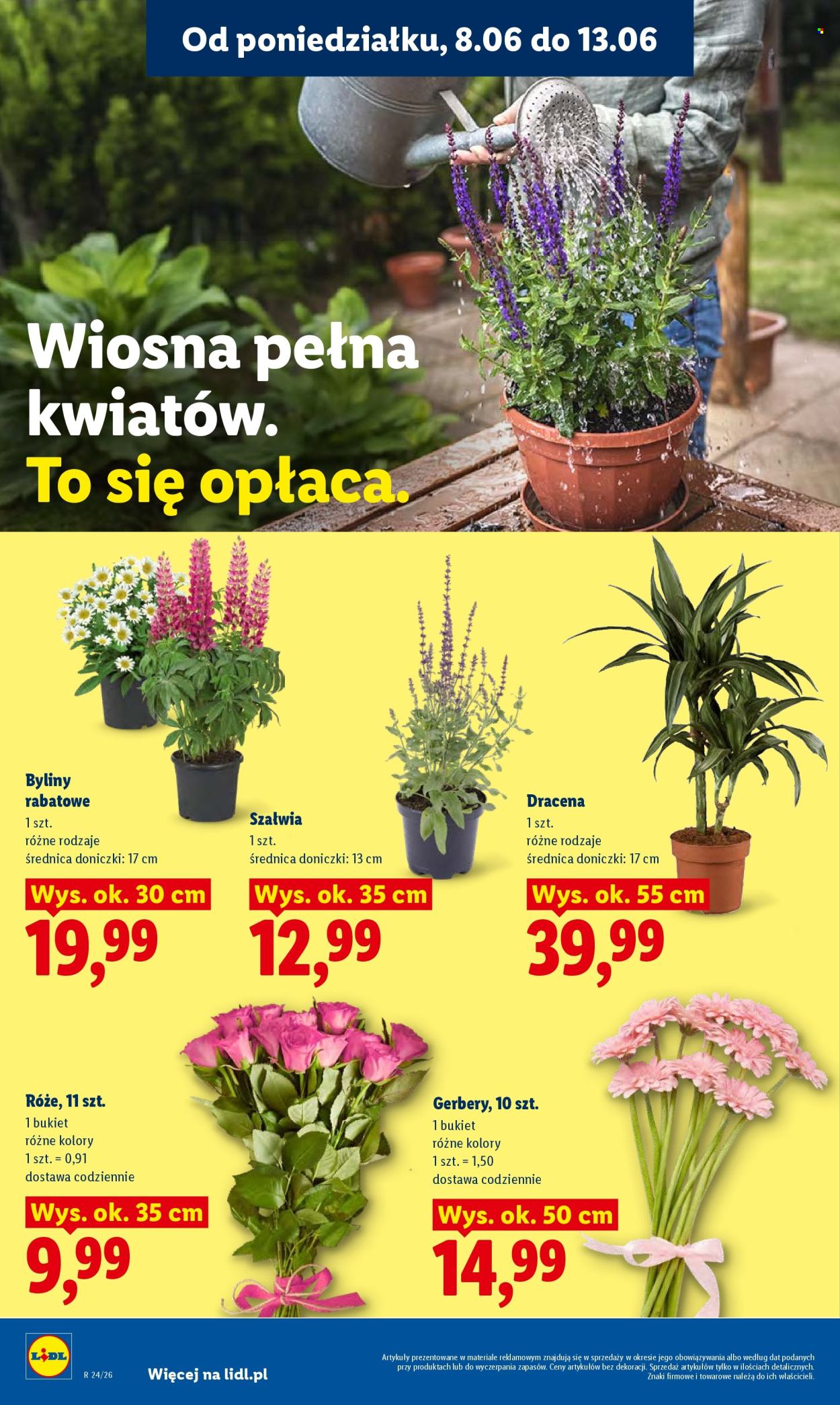 Gazetka Lidl - 8.06.2026 - 10.06.2026. Strona 82