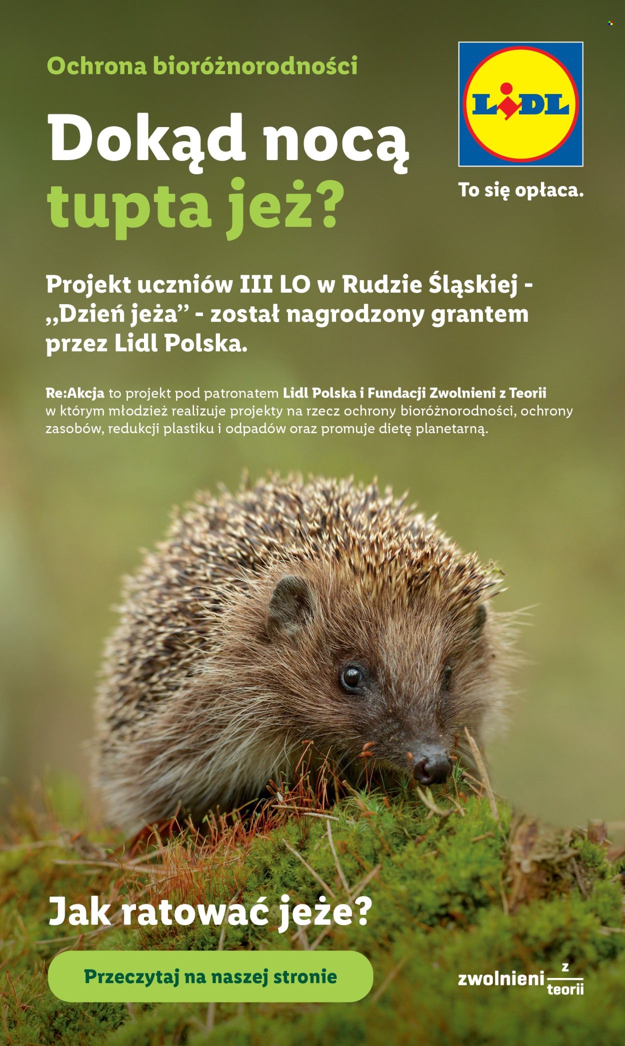 Gazetka Lidl - 8.06.2026 - 10.06.2026. Strona 88
