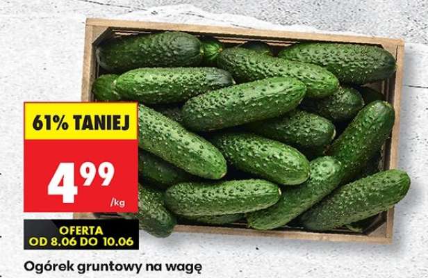 Ogórek gruntowy na wage
