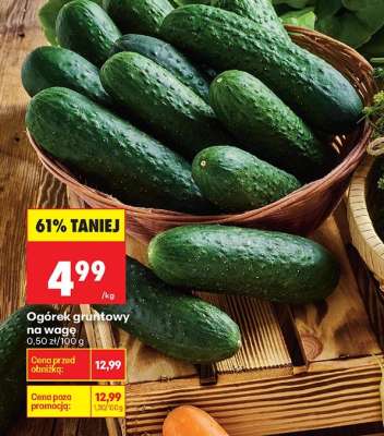 Ogórek gruntowy na wage
