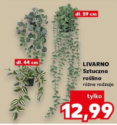 LIVARNO Sztuczna roślina