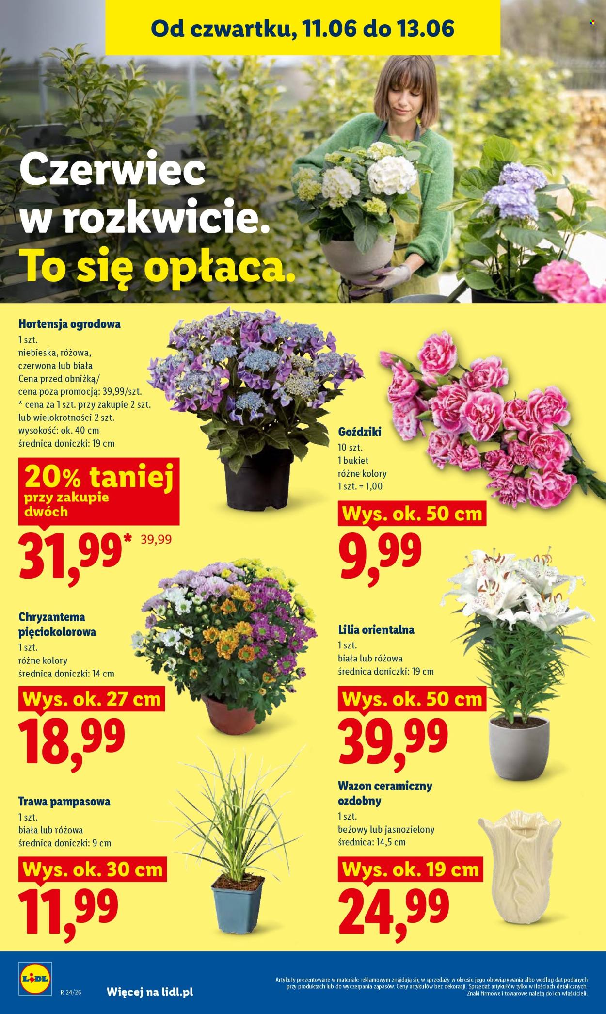 Gazetka Lidl - 11.06.2026 - 13.06.2026. Strona 92