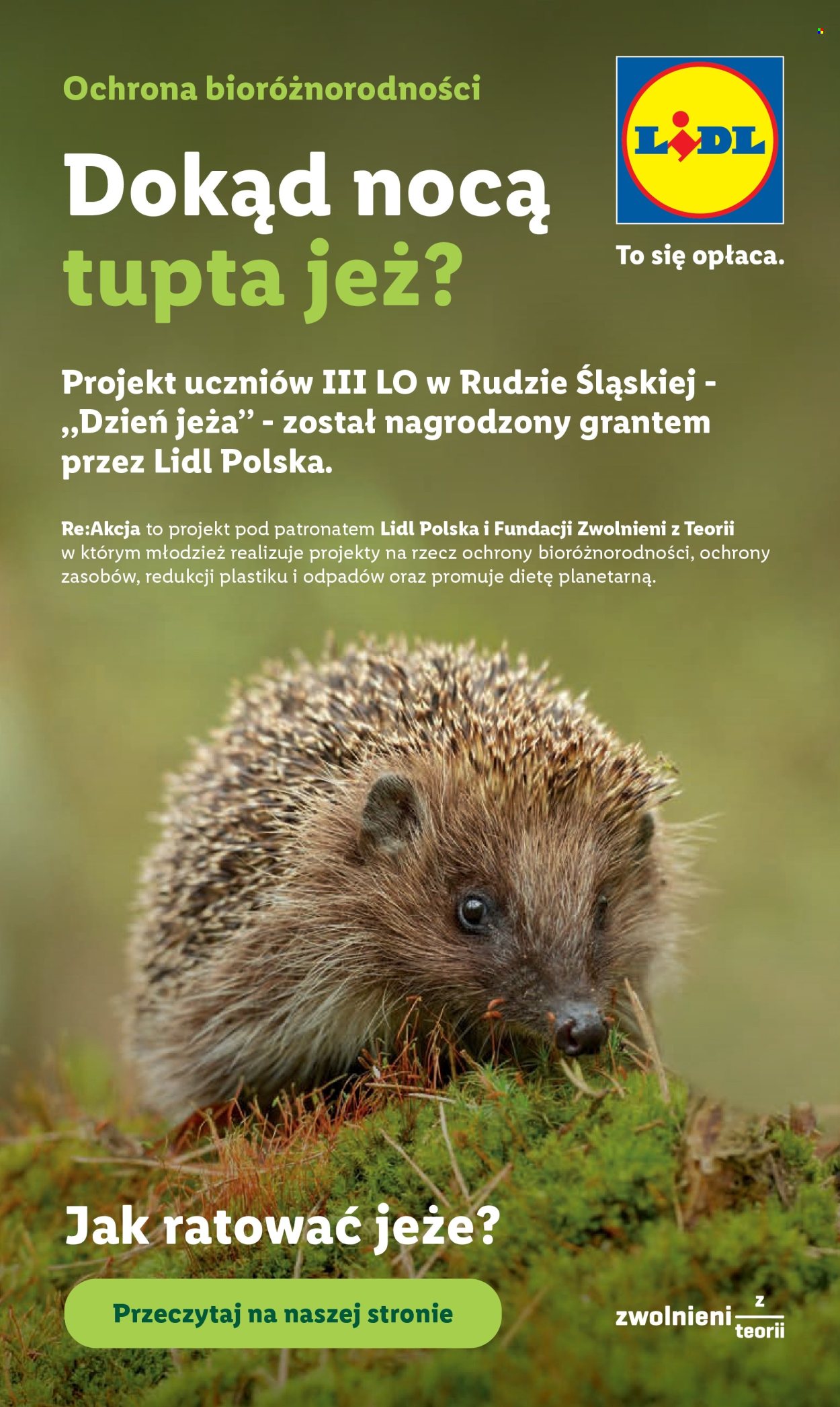 Gazetka Lidl - 11.06.2026 - 13.06.2026. Strona 96