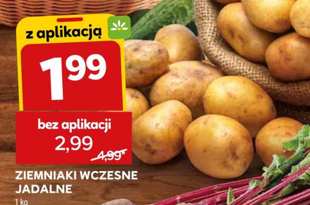 Ziemniaki wczesne jadalne