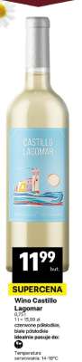 Wino Castillo Lagomar