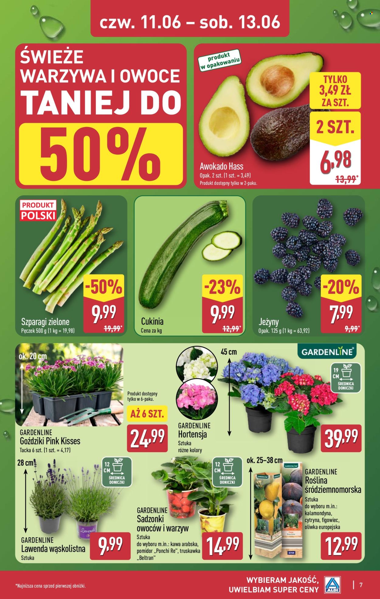 Gazetka ALDI - 11.06.2026 - 13.06.2026. Strona 7