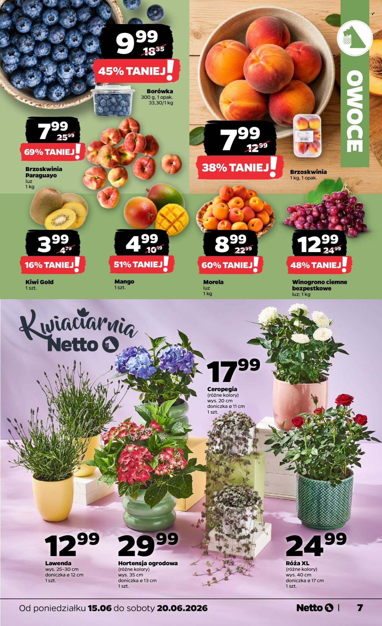 Leták Netto - 15.6.2026 - 20.6.2026. Strana 7