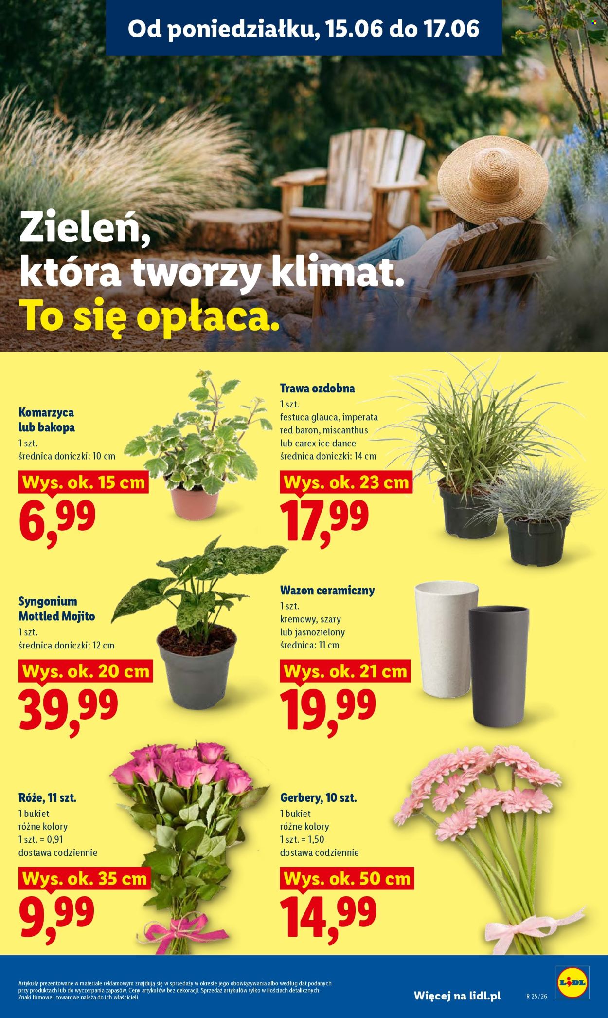 Gazetka Lidl - 15.06.2026 - 17.06.2026. Strona 97