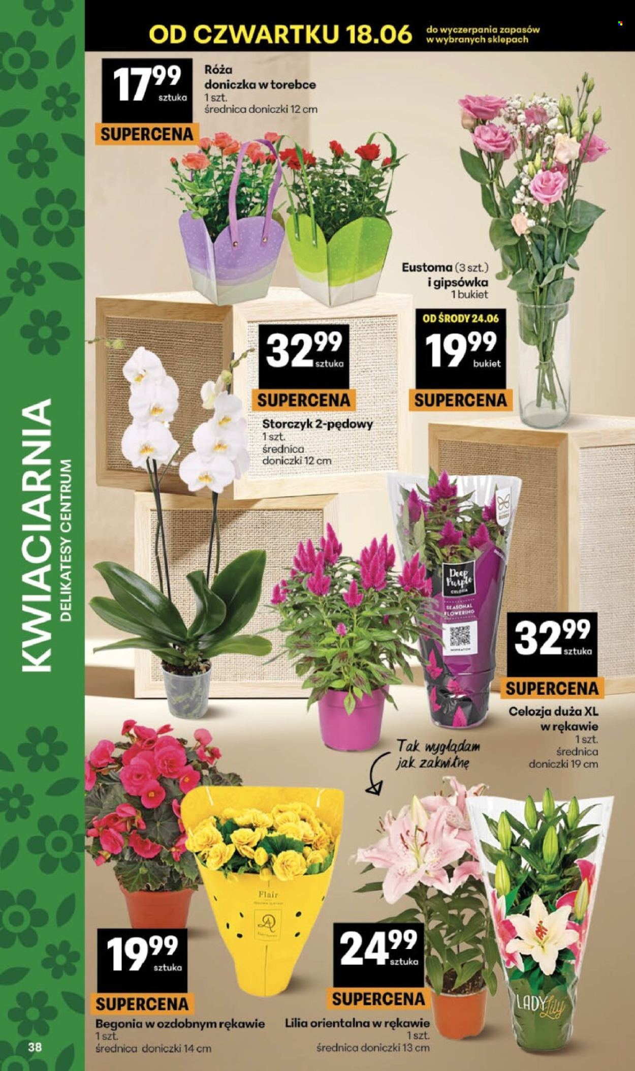 Gazetka Delikatesy Centrum - 18.06.2026 - 24.06.2026. Strona 38