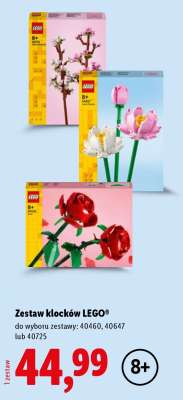 Zestaw klocków LEGO