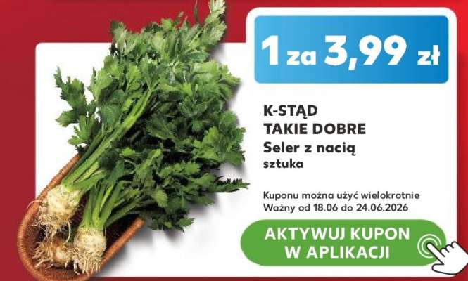K-STĄD TAKIE DOBRE Seler z nacią