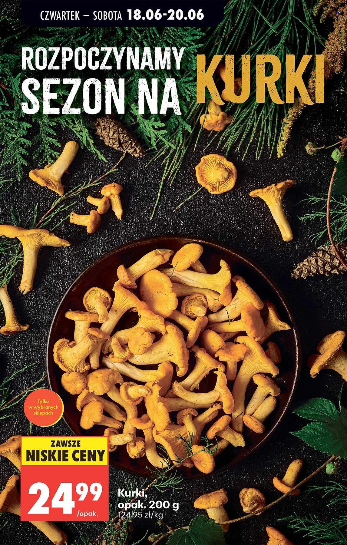 Gazetka Biedronka - 18.06.2026 - 24.06.2026. Strona 69