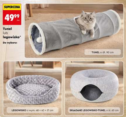 Tunel lub legowisko