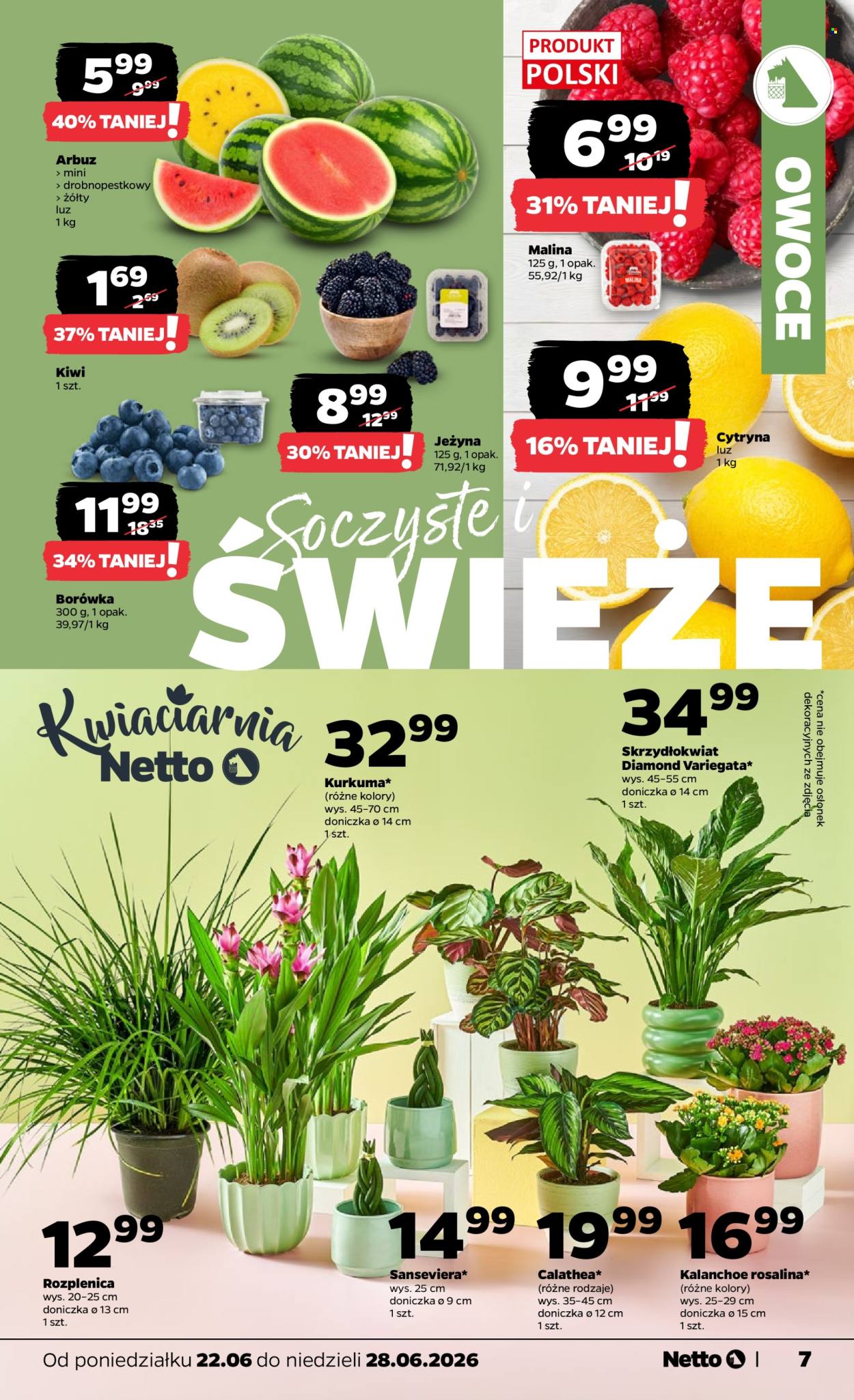 Gazetka Netto - 22.06.2026 - 28.06.2026. Strona 7