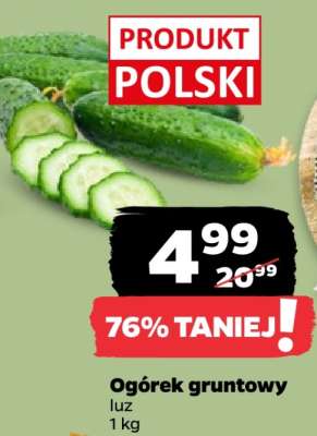 Ogórek gruntowy