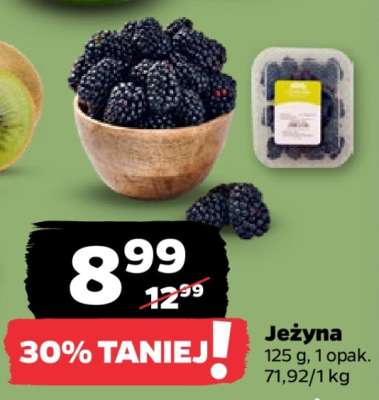 Jeżyna