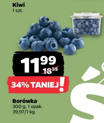 Borówka