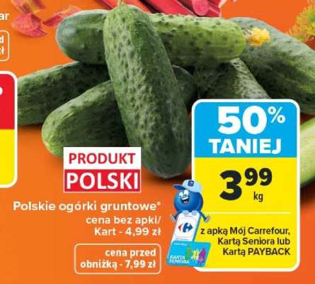 Polskie ogórki gruntowe