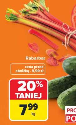 Rabarbar