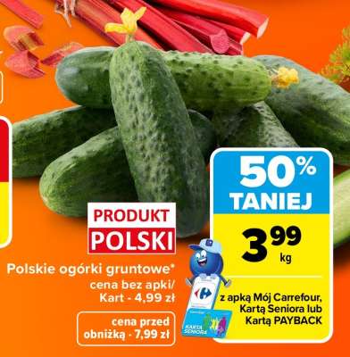 Polskie ogórki gruntowe