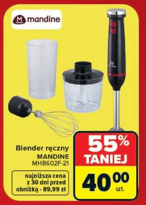 Blender ręczny